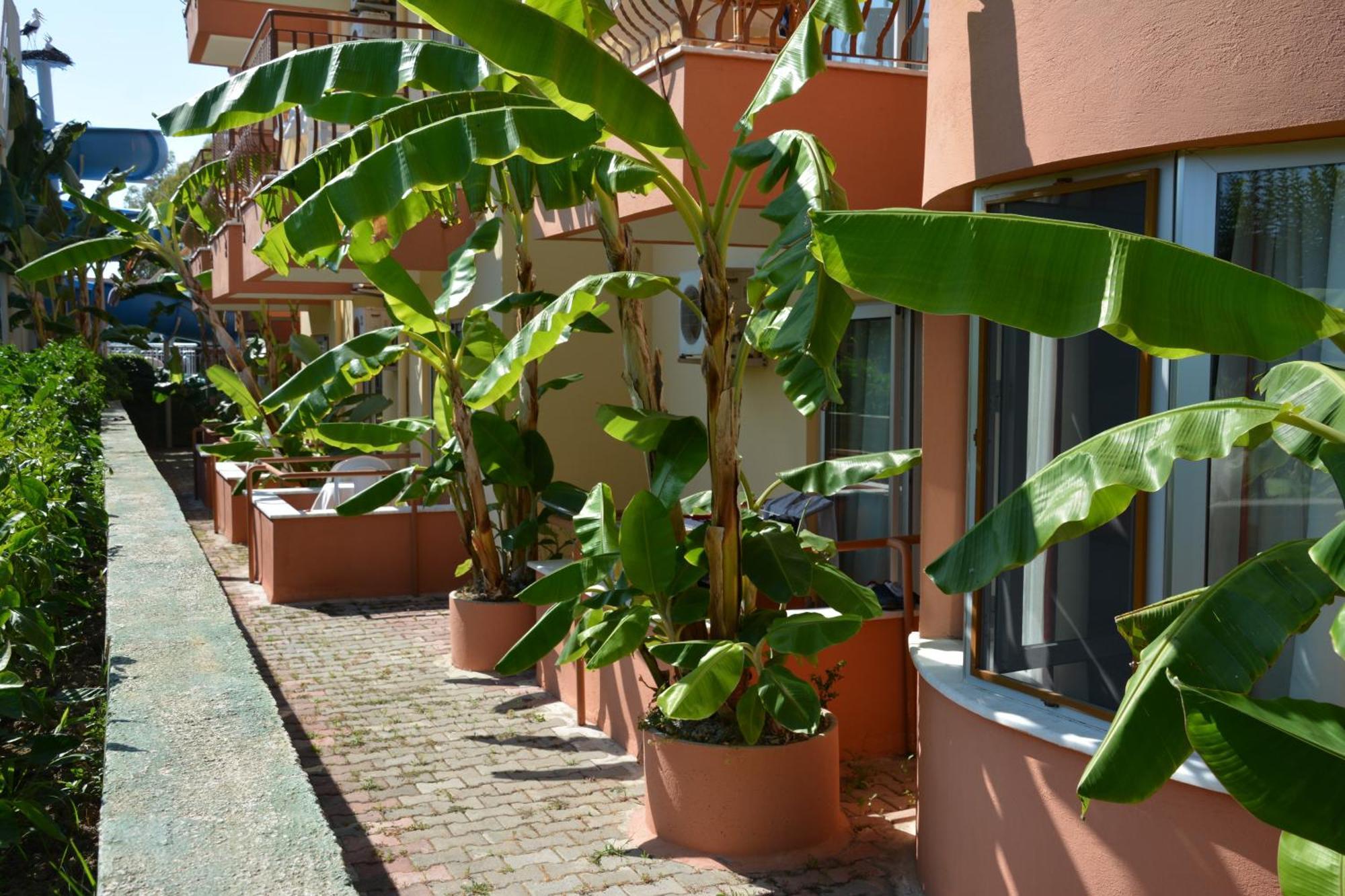 Yavuzhan Hotel Side Pokoj fotografie